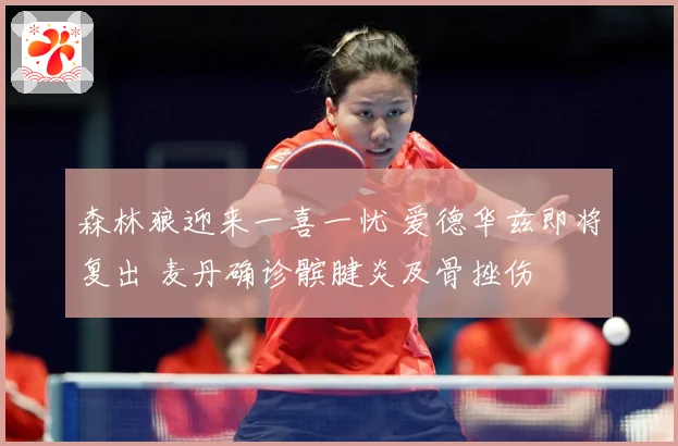 森林狼迎来一喜一忧 爱德华兹即将复出 麦丹确诊髌腱炎及骨挫伤