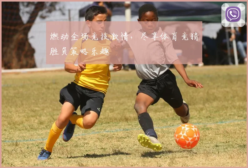 燃动全场竞技激情，尽享体育竞猜胜负策略乐趣