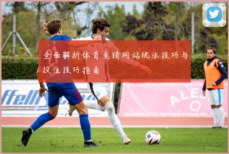 全面解析体育竞猜网站玩法技巧与投注技巧指南